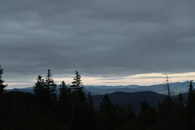 DSC_0152 (Large).JPG